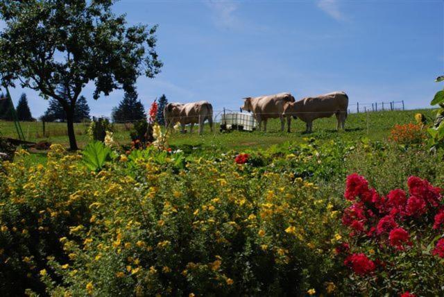 La Ferme Du Bois Barbu Villard-de-Lans Exterior foto
